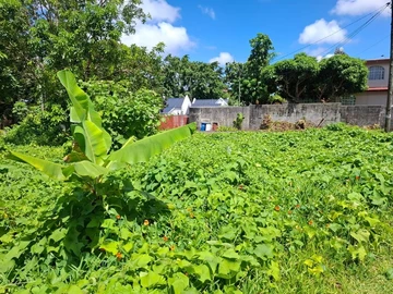 Residential Land