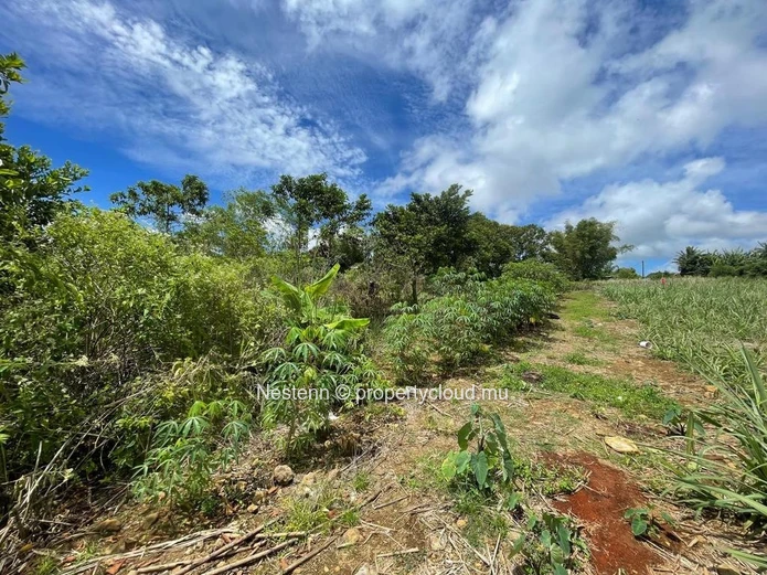 Residential plot of land of 1506.52m²