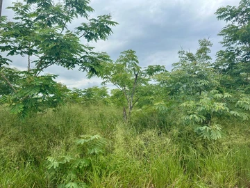 Residential Land