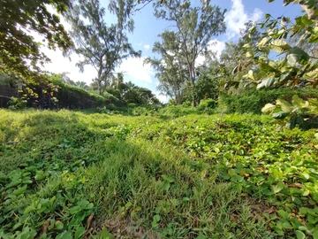Residential Land