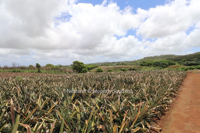 Land with breathtaking sea views