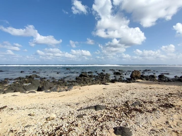 Residential Land
