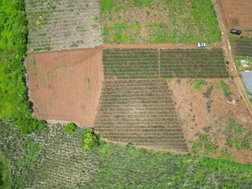 Residential Land