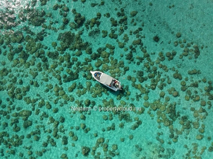 Investissement locatif pied dans l'eau exceptionnel