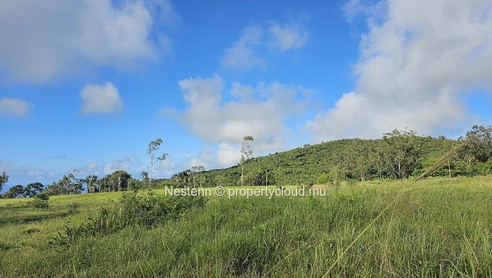 Spectacular 4,600 m² residential corner plot 