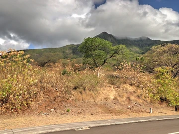 Residential Land