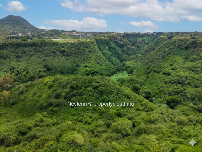 House overlooking the ravine with magnificent views 