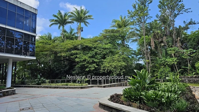 Convenient office space with green surroundings near the airport