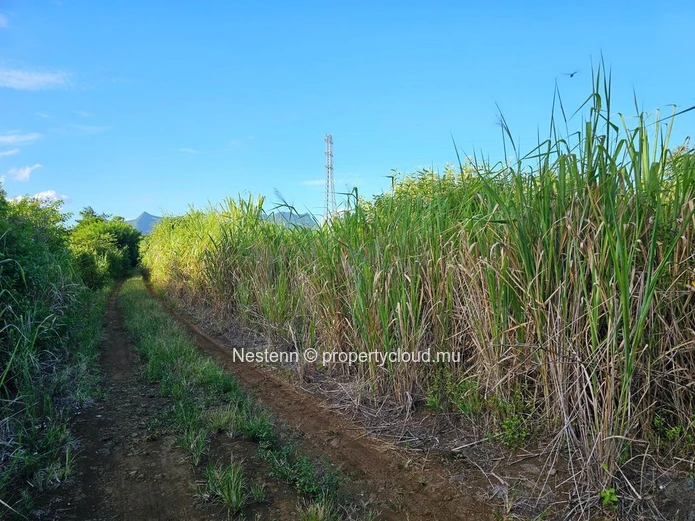 Terrain agricole bien situé 