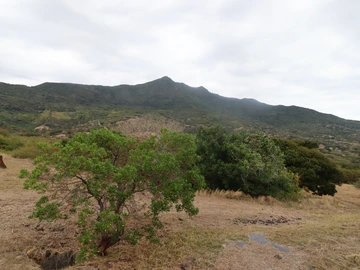 Residential Land
