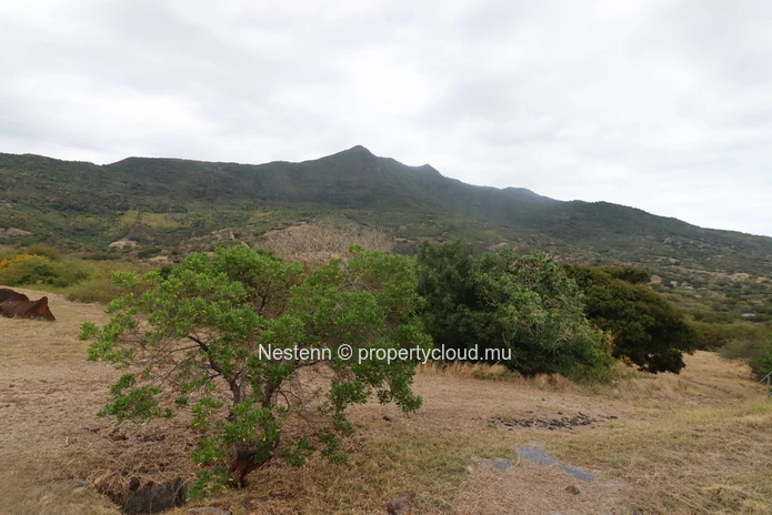 Exceptional Plot of 4227 m2 Domaine de Palmyre 