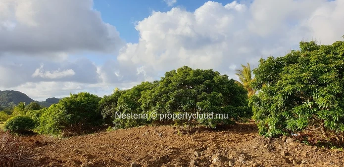  Terrain agricole 