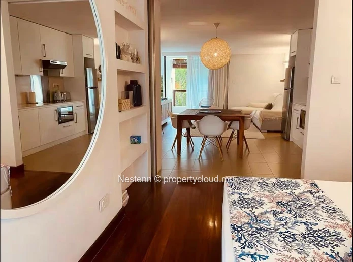 Charmant appartement 1 chambre meublé 