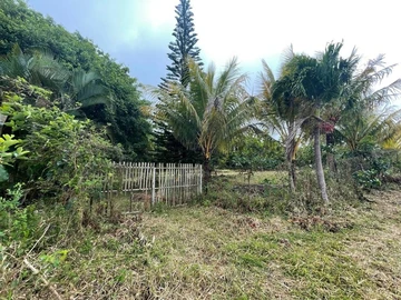Agricultural Land