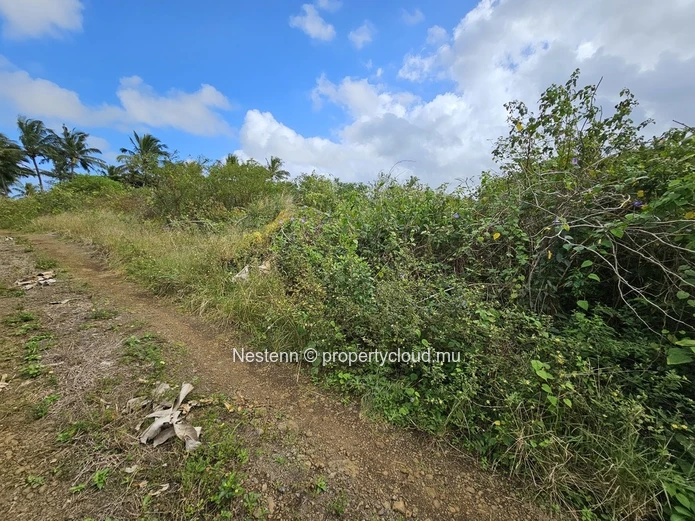Terrain agricole de 8 146.10m² 