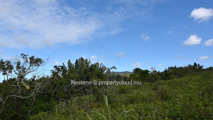 Agricultural land of 12,664 m² 