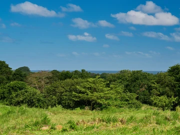 Residential Land