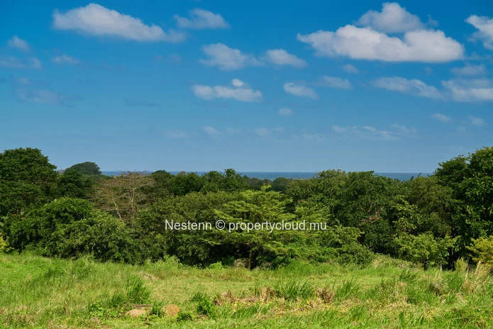 Terrain residentiel de 1000 m²