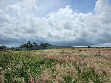 Residential Land