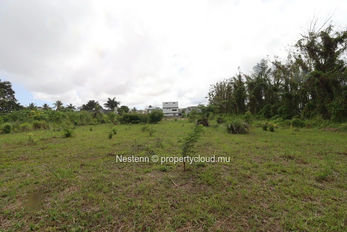 Terrain résidentiel de 2954 m², ce terrain est parfait pour votre projet de maison