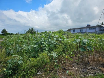Residential Land