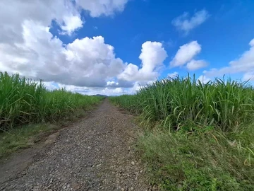 Agricultural Land