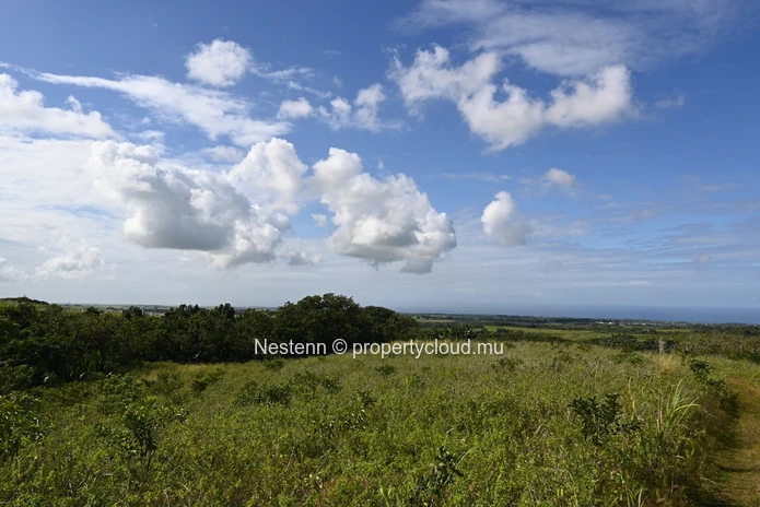 Agricultural land of 12,664 m² 