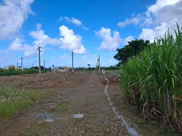 Agricultural Land