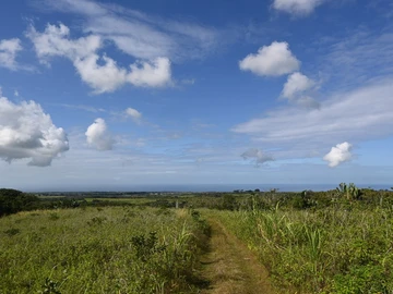 Agricultural Land