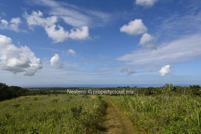 Agricultural land of 12,664 m² 