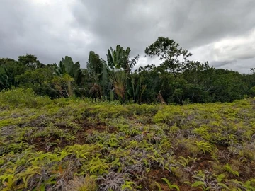 Residential Land