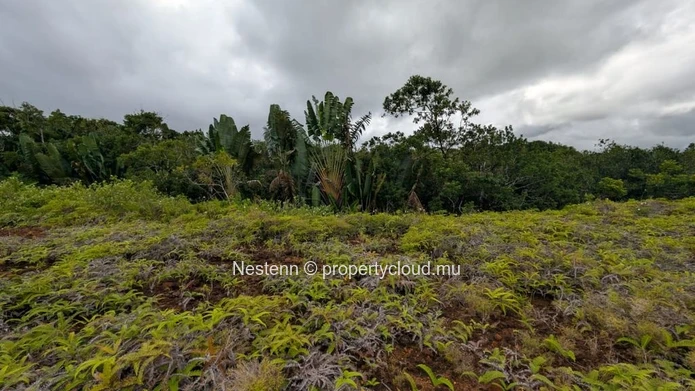 Land near a river within Avalon Golf Estate