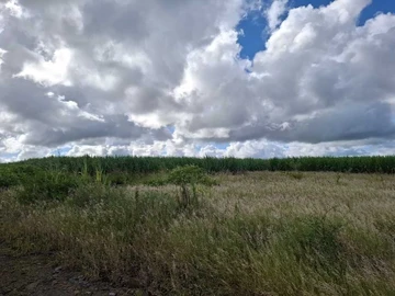 Agricultural Land