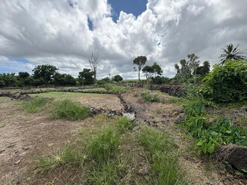 Agricultural Land