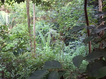 Agricultural Land