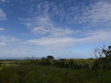 Agricultural Land
