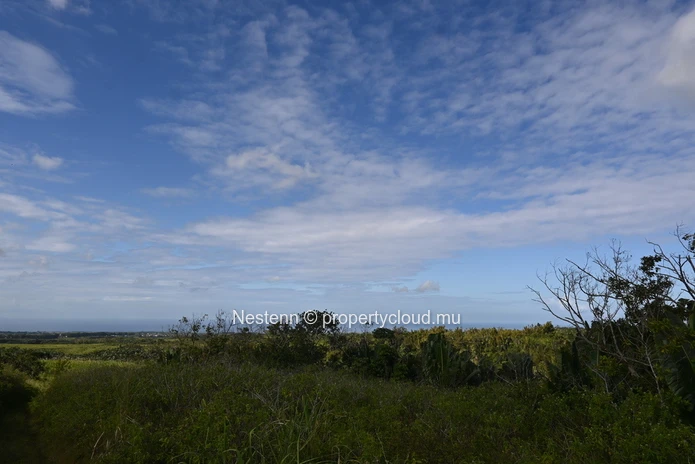 Agricultural land of 12,664 m² 