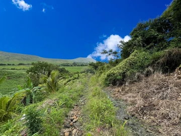 Agricultural Land