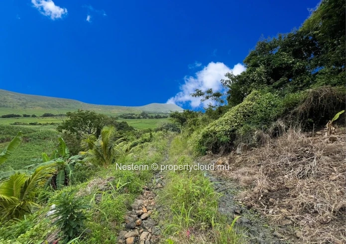 Serene 12 Acres agricultural land with mountain and sea views.