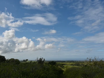 Agricultural Land