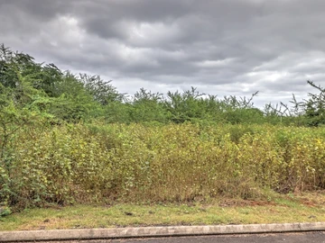 Residential Land