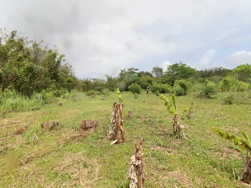Residential Land
