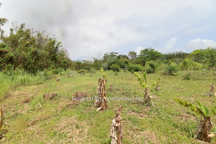 Terrain résidentiel de 2954 m², ce terrain est parfait pour votre projet de maison