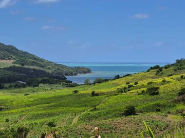 Agricultural Land