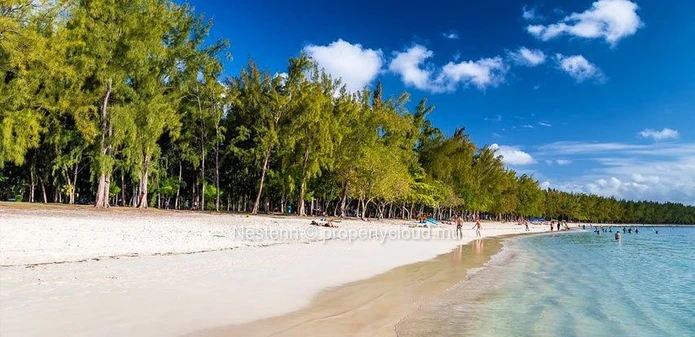 Un mode de vie tropicale avec 4 chambres