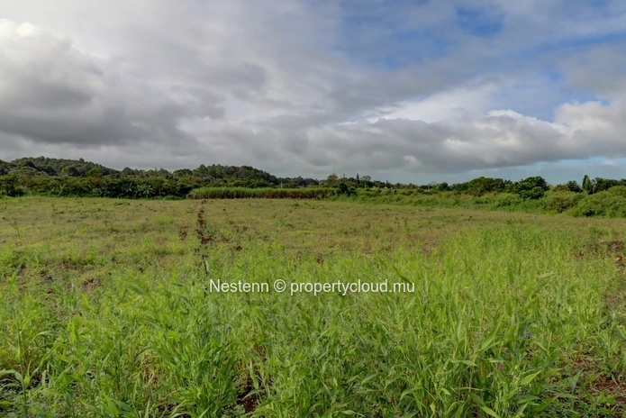 2 Acres of Land 