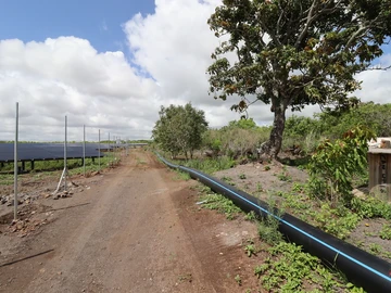 Agricultural Land