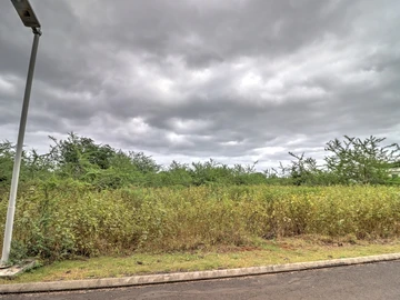 Residential Land