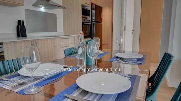 Magnifique appartement T3 meublé