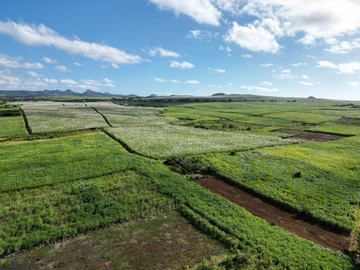 Residential Land